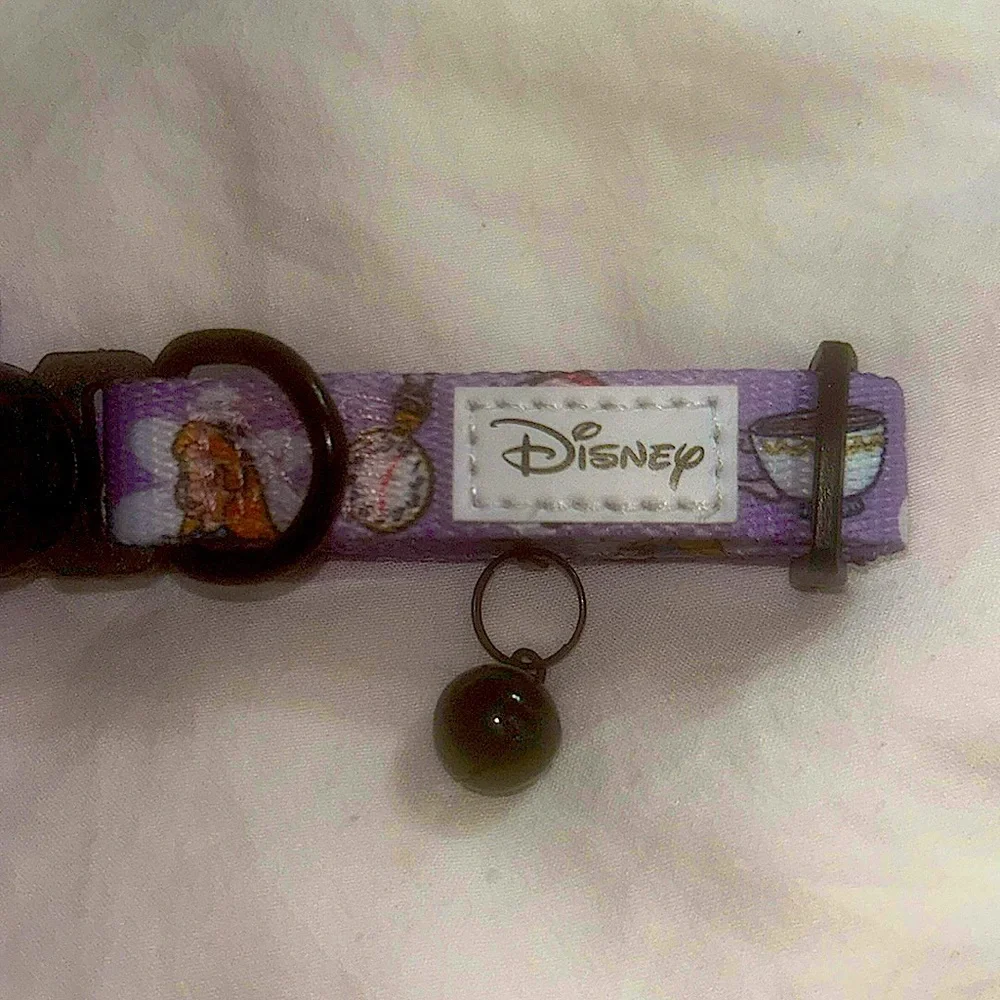 Sassy Meow Alice In Wonderland Cat Collar (M) and Matching Leash 6ft